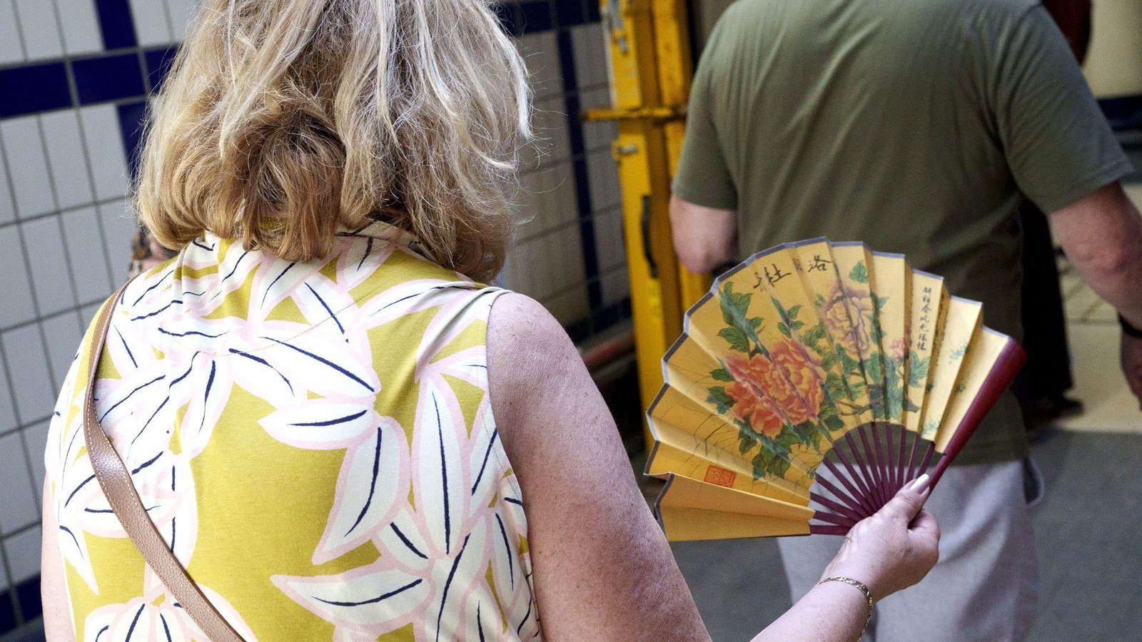More protein or less? The foods to get you through a heatwave