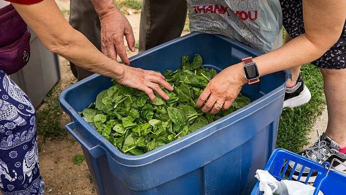 Holidaymakers warned about 'explosive diarrhoea' cyclospora parasite infection