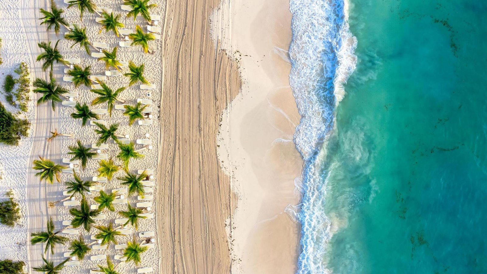 Holidaymakers warned about 'explosive diarrhoea' cyclospora parasite infection