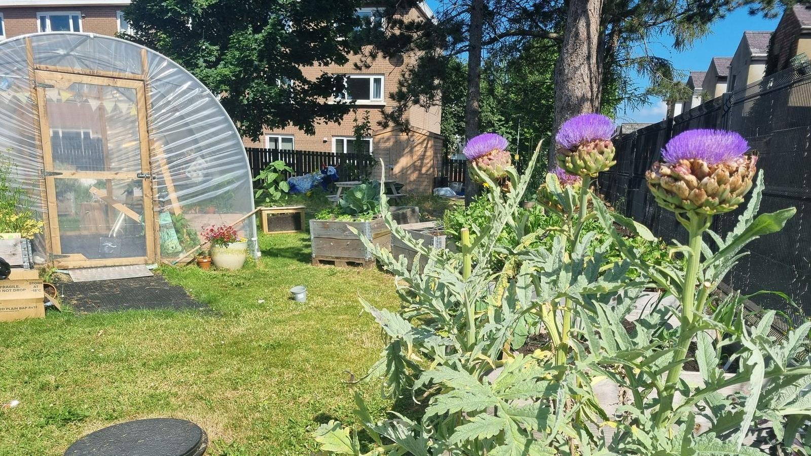The 'hidden gem' offering a place to grow, connect and heal