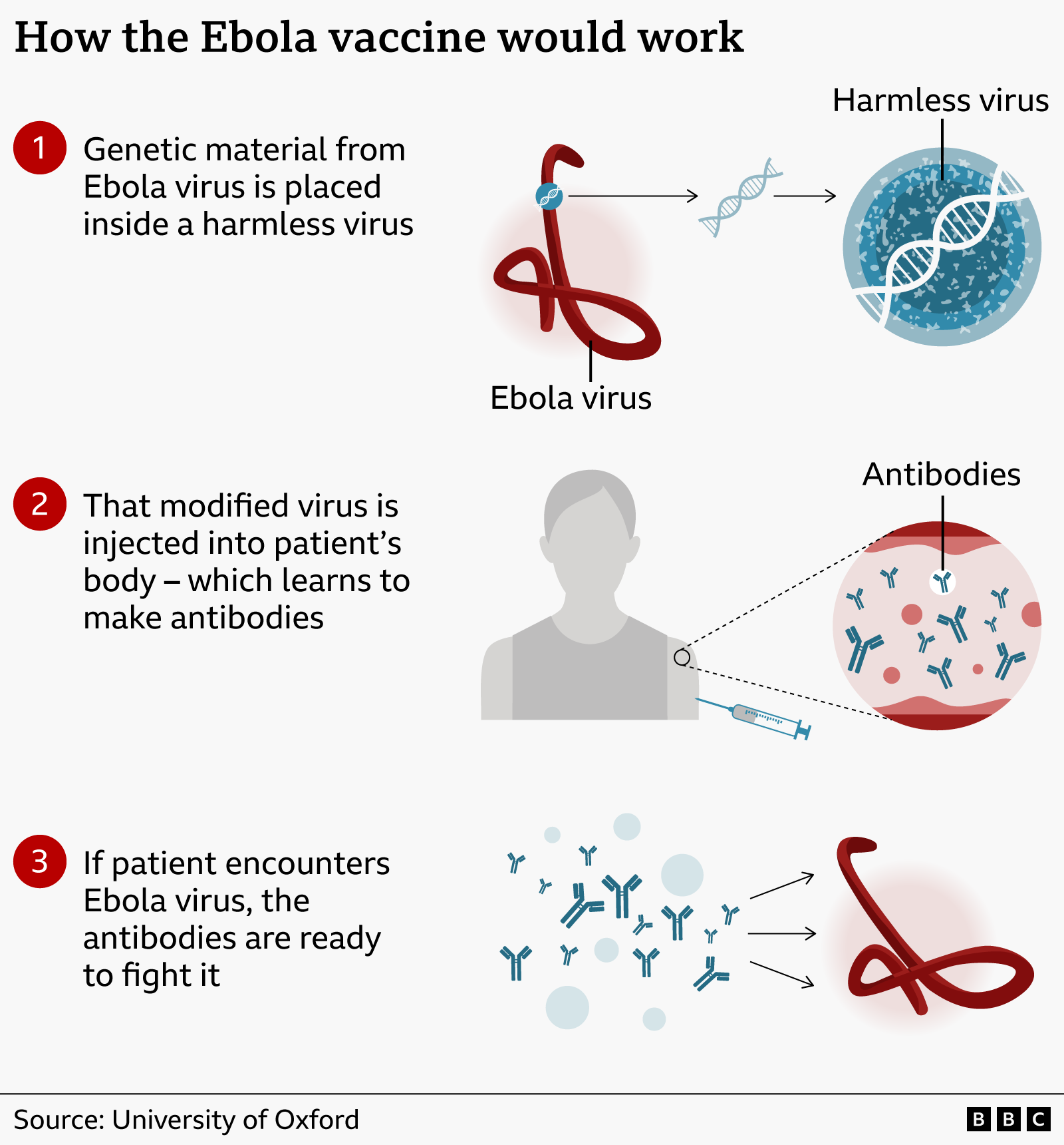 UK begins trials of Ebola vaccine developed in just eight weeks