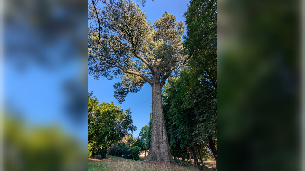 National Trust expands park by 32 hectares