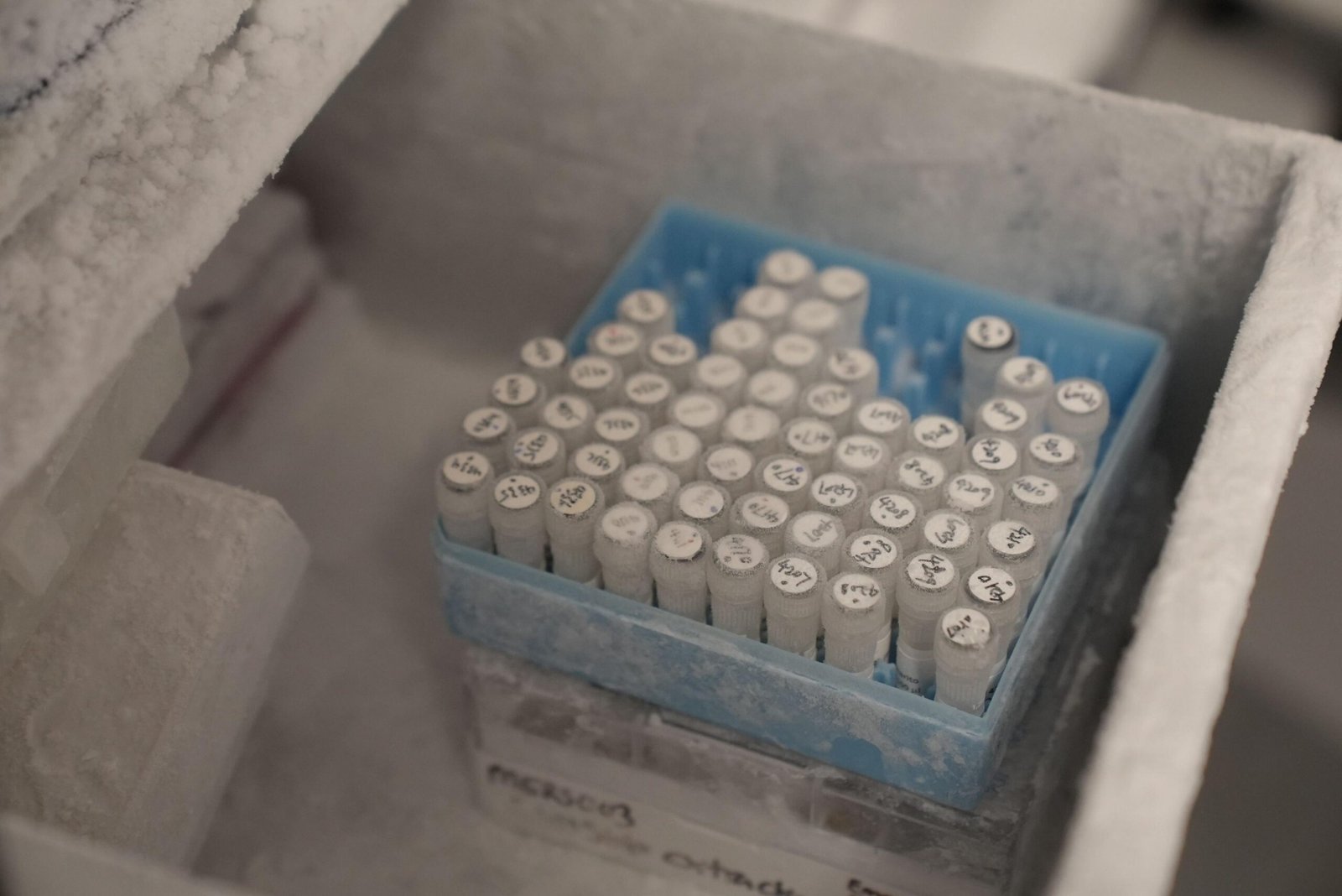 UK begins trials of Ebola vaccine developed in just eight weeks